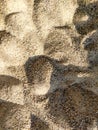 Highly Textured Beach Sand Background