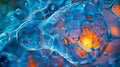 A highmagnification image of a lipid droplet revealing its intricate internal structure and the complex network of