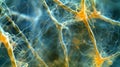 A highmagnification image of plasmodesmata showcasing their thin and threadlike structure