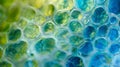 Through a highpowered microscope we can see the intricate patterns and varying shades of blue and green pigments found