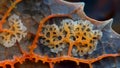 A highresolution image of a conidium spore settled on the surface of a leaf. The spore is surrounded by a halo of tiny