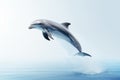 Highresolution Stock Photo Of Dolphin Jumping Out Of Water Royalty Free Stock Photo