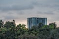 Highrise building peaking over vegetation at sunset with clouds