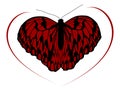 Hight quality traced butterfly 2