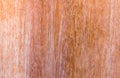 Hight resolution natural woodgrain texture background