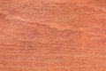 Hight resolution natural woodgrain texture background