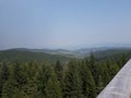 Hight tatras forest