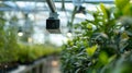 A hightech sensor system installed throughout an automated greenhouse tracking humidity levels and adjusting ventilation