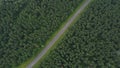 Hightway in the forest. Bird's-eye view Royalty Free Stock Photo