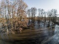 Highwater or high tide or spring flood, river came out of shore, trees in water, climate change Royalty Free Stock Photo