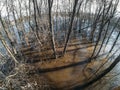 Highwater or high tide or spring flood, river came out of shore, trees in water, climate change Royalty Free Stock Photo