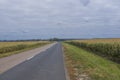 Highway along a corn field 2