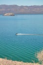 On one side is the ocean, generally the Gobi and giant cactus.Baja California