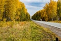 Highway between a beautiful yellow autumn forest, where a car passes at speed