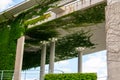 Highway bridge with climbing plants vegetation