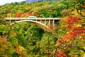 Highway bridge with colorful autumn leaves in Naruko gorge Royalty Free Stock Photo