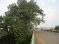 highway bridge over the cilamatan river, Cipunagara Village