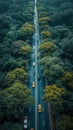 highway with car traffic top view Royalty Free Stock Photo