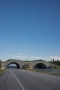 Highway crossing bridge for animals