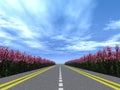 Highway flowers Royalty Free Stock Photo