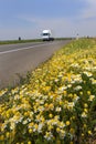Highway flowers Royalty Free Stock Photo