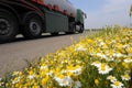Highway flowers Royalty Free Stock Photo