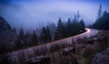 Highway in the Fog through Redwood Forest, California Royalty Free Stock Photo