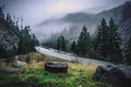 Highway in the Fog through Redwood Forest, California Royalty Free Stock Photo