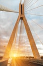 Highway going through a cable-stayed bridge