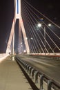 Highway going through a cable-stayed bridge