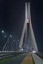 Highway going through a cable-stayed bridge