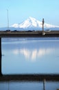 Highway I-205 bridge, Oregon. Royalty Free Stock Photo