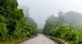 Highway in the jungle Royalty Free Stock Photo