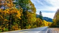 Highway 7, the Lougheed Highway near the settlement of Deroche in Fall Colors in the Fraser Valley