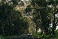 Highway through a lush tropical forest in kauai, hawaii - may 2023 Royalty Free Stock Photo