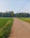 highway in the middle of rice fields Royalty Free Stock Photo