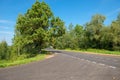 Highway passing through an oak alley Royalty Free Stock Photo