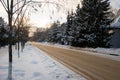 Highway with pine on the sidelines