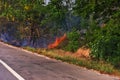 The highway prevents the spread of a forest fire Royalty Free Stock Photo
