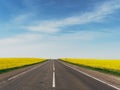 Highway among rapeseed yellow field against a blue sky Royalty Free Stock Photo