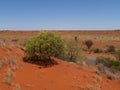 Highway in the red Australian desert Royalty Free Stock Photo