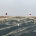 Highway road among desert during sand storm with road signs with camel warning Royalty Free Stock Photo