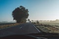 Highway in rural misty landscape at sunrise. Driver`s view. Royalty Free Stock Photo