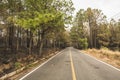 Highway at sunset in an ocher winter landscape, classic of Mexico. Royalty Free Stock Photo