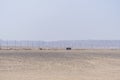 Highway to Hurghada in the middle of the Egyptian desert