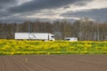 Highway with trucks, verge covered with coleseed and stormy sky Royalty Free Stock Photo