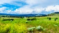 Highway 5A of the Nicola Valley, British Columbia, Canada