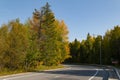 The highway winds through the autumn forest