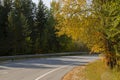 The highway winds through the autumn forest