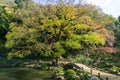 Higo Hosokawa Garden in Japan, Tokyo Landscape Royalty Free Stock Photo